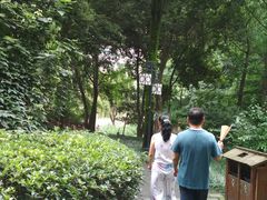 -成都市活水公园