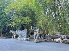 -云南勐巴娜西珍奇园