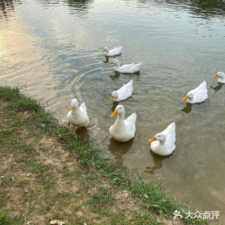 春来江水绿如蓝,能不忆江南?