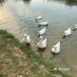 春来江水绿如蓝，能不忆江南？