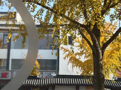 -小姜锅贴(凤凰街店)