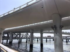 -演武大桥观景平台