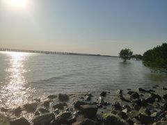 -宝安西湾红树林湿地公园