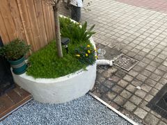 -如意香辣鸡架(总店)