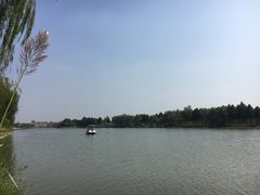 -合肥滨湖国家森林公园