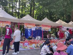-广州市帽峰山景区