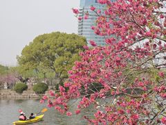 -无锡蠡湖国家湿地公园-蠡园