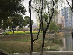 -西北湖绿化广场