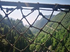 -娄山关景区