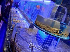 -五月罗马海鲜烤肉自助餐厅(印象城店)