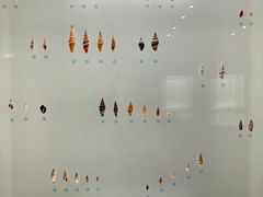 -青岛贝壳博物馆