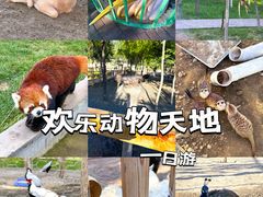 -水上乐园·欢乐世界