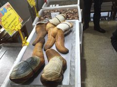 -蚝专家(北滘店)