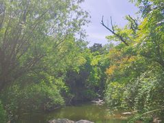 -上海吴淞炮台湾国家湿地公园