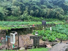 -会稽山峡洞漂流-上青古道