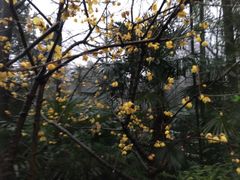 -天目湖御水温泉·度假酒店