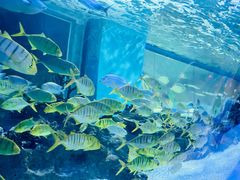 -常州海昌海洋探索馆