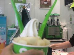 -Salud撒露欧洲冻酸奶(蓝色港湾店)