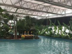 -南宫五洲植物乐园