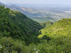 -阳台山自然风景区