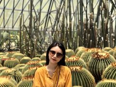 -深圳仙湖植物园-停车场