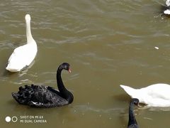 -新疆天山野生动物园