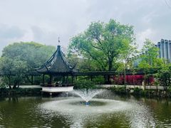-上海醉白池公园