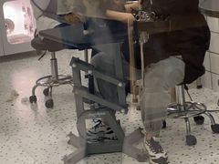 -BABIT巴比特宠物(MOMOPARK店)