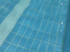 -奇缘游泳培训基地(辰茂店)