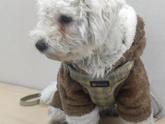 -安安宠医·臻爱宠物医院·宠保定点(营门口路分院)