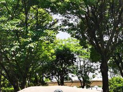 -东湖景区