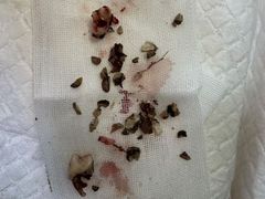 -宠福鑫康馨动物医院·骨科·眼科