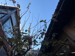 -后海16号·北京私房菜