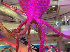 店内环境-凯德广场(学府店)