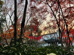 -秋霞圃