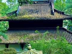 -虎跑公园