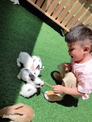 -萌宠亲子动物乐园(槐房万达店)