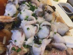 清蒸罗非鱼-九大簋家宴(晓港湾店)