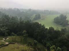 -成都蒲江花样年福朋喜来登度假酒店·宜客乐西餐厅