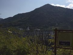 -广州市流溪河国家森林公园