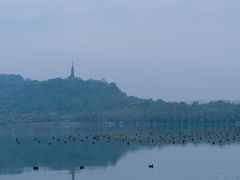 -西湖外事游船(湖滨二公园外事游船码头)