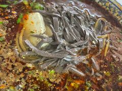 -惠记粉汤羊血(小南门店)