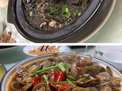 紫菜牡蛎煲-鑫悦楼煎蟹·16年海鲜大排档
