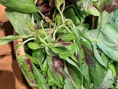 有机蔬菜篮-野山舂·贵州现舂酸汤火锅(鸿通城店)