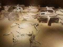 -洛阳周王城天子驾六博物馆