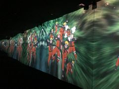 -火影忍者动画多媒体展
