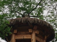-莲湖公园