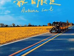 -莲花岛景区