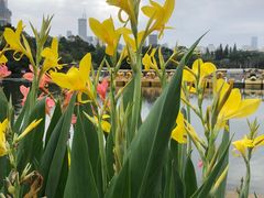 -荔枝公园(福田区)