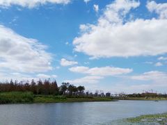 -春花秋色城市公园